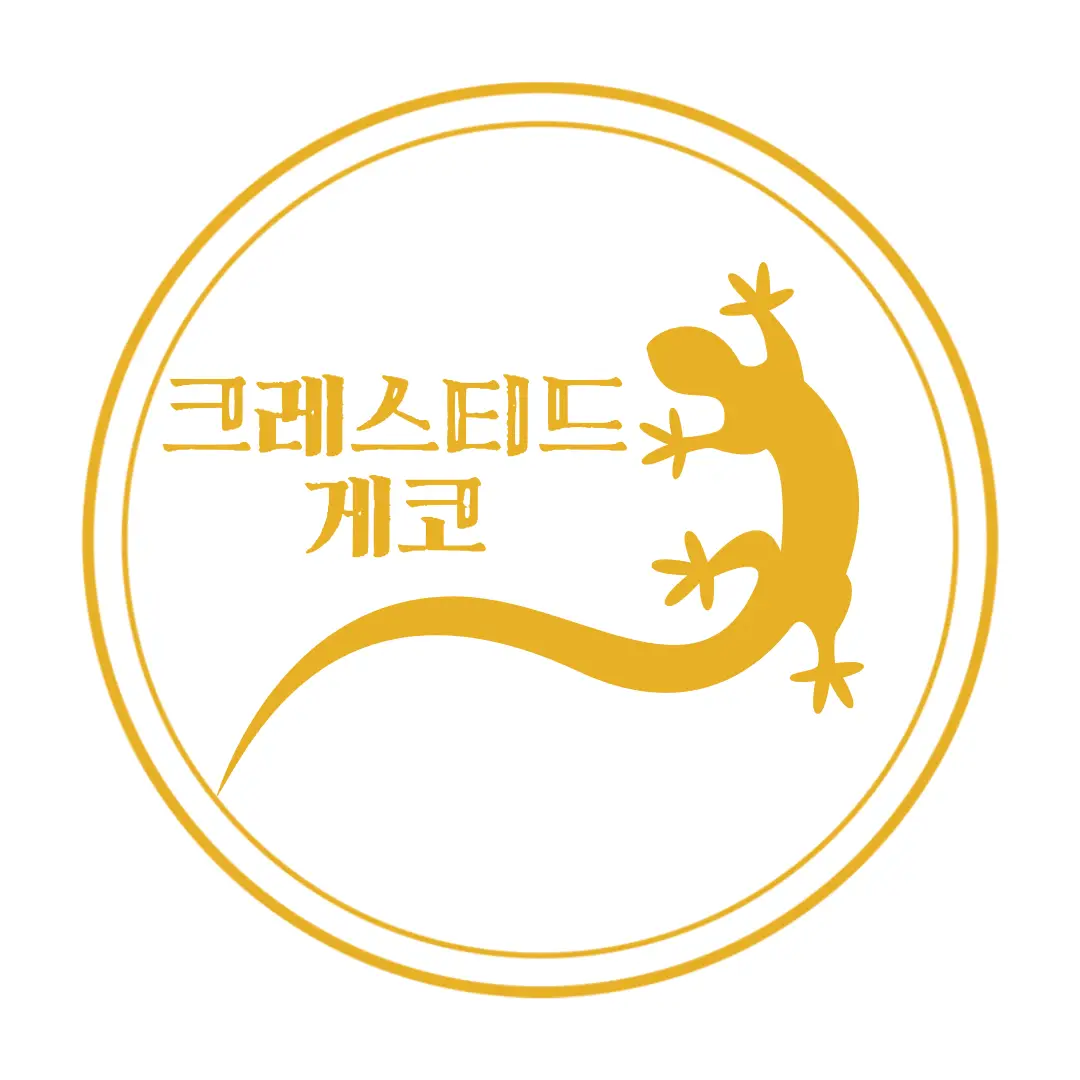  크레스티드 게코 사육기 : 새집으로 이사