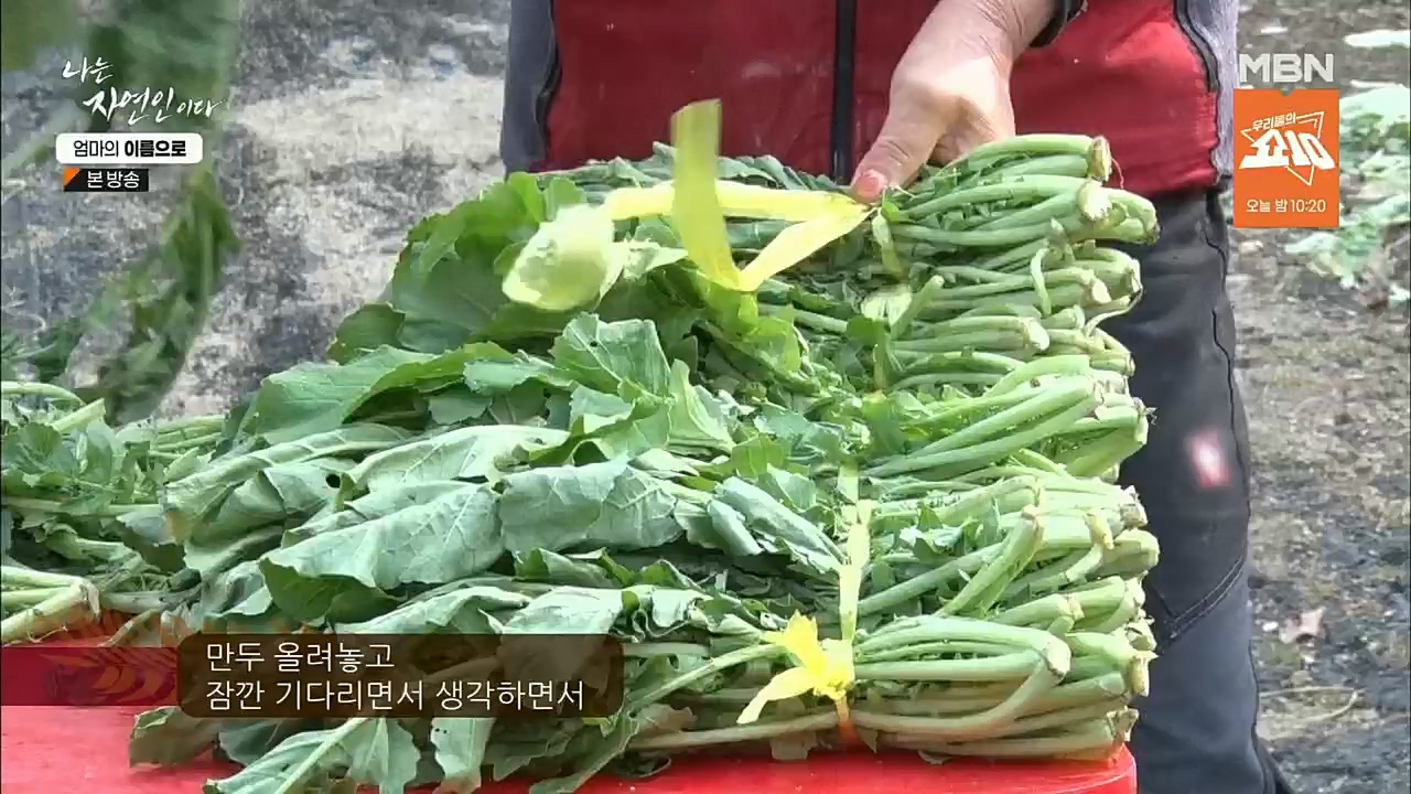 나는 자연인이다.E531.221208p.H264-F1RST.mp4_20221208_204233.757.jpg