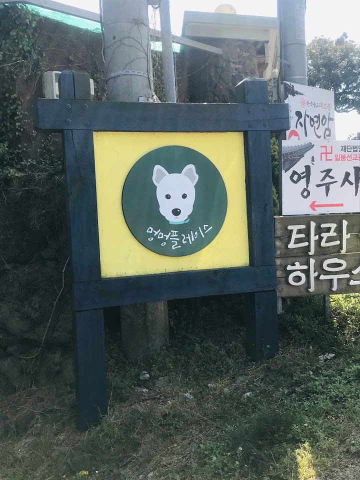  문리뷰