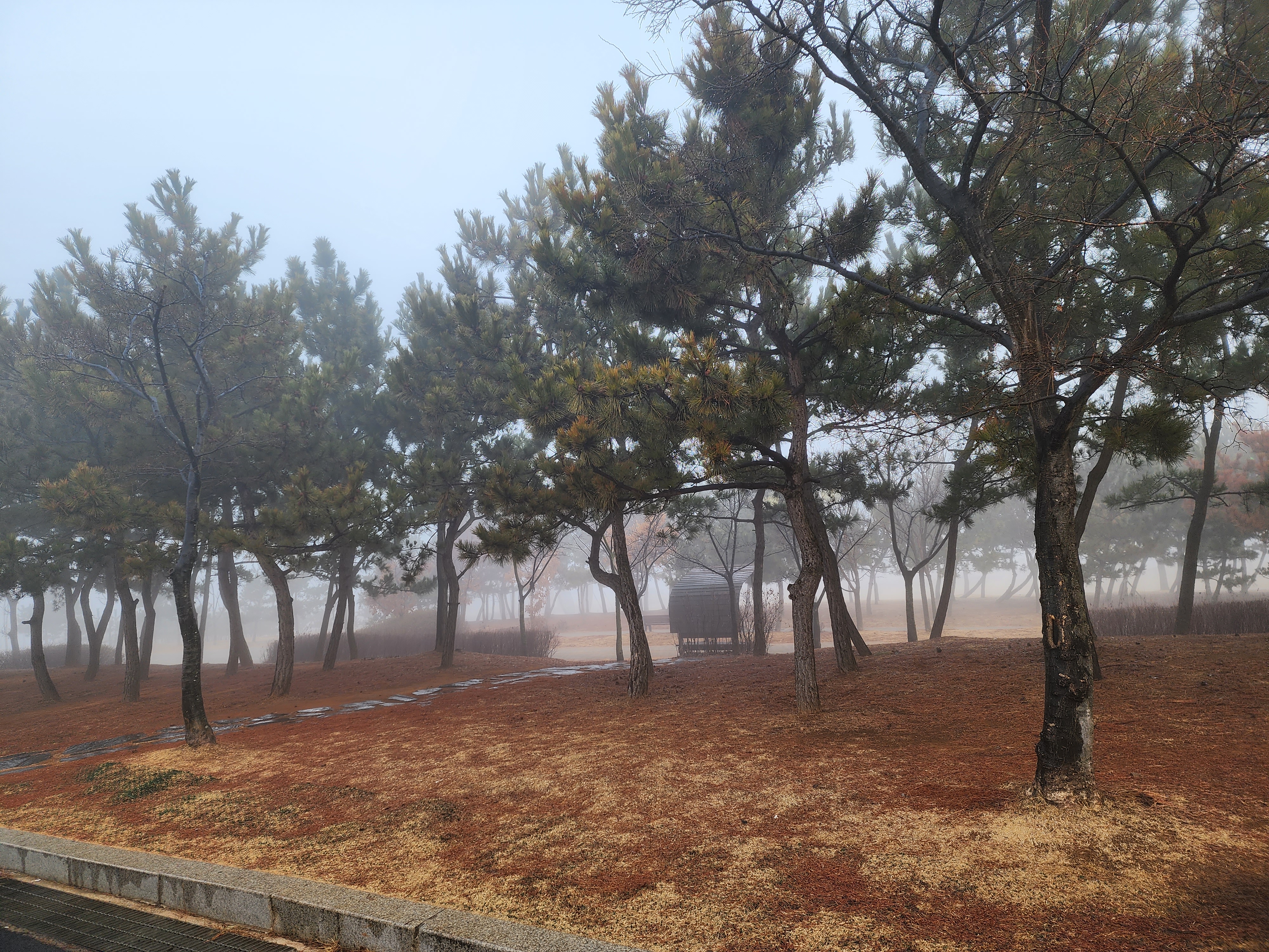 대부도 차박 2