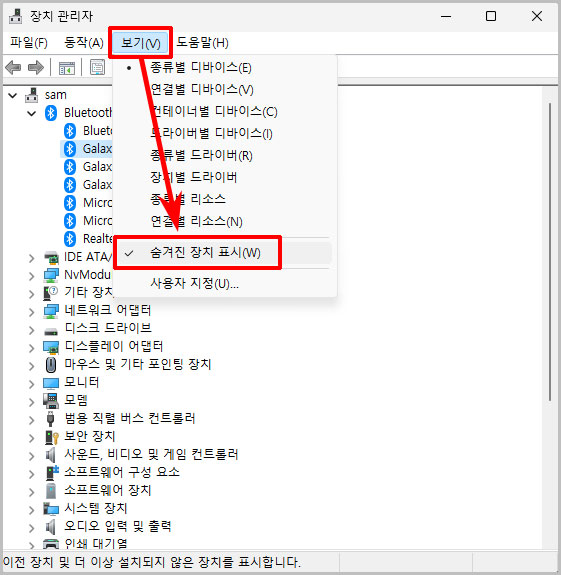 숨겨진 장치 표시
