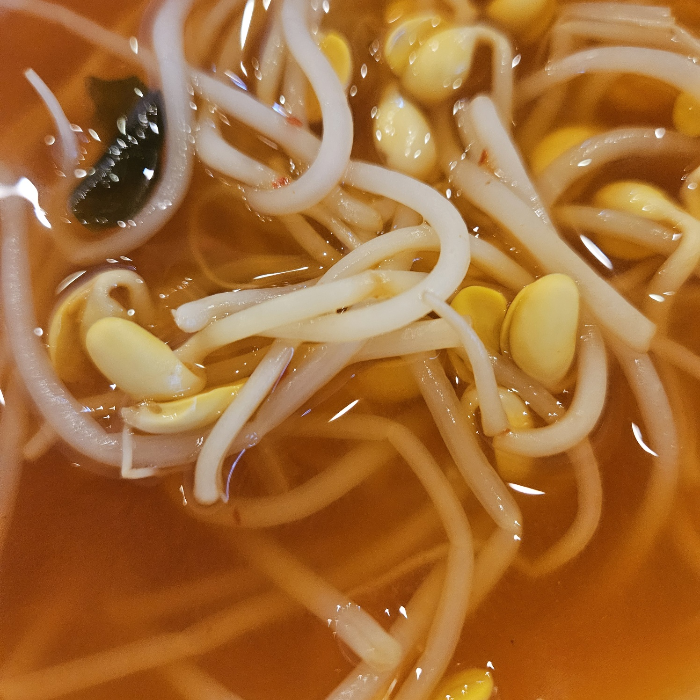 콩나물국