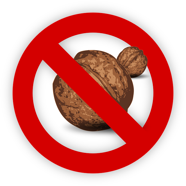 알레르기를 일으킬 수 있는 음식 중 하나인 호두에 금지 표시를 해 놓은 그림