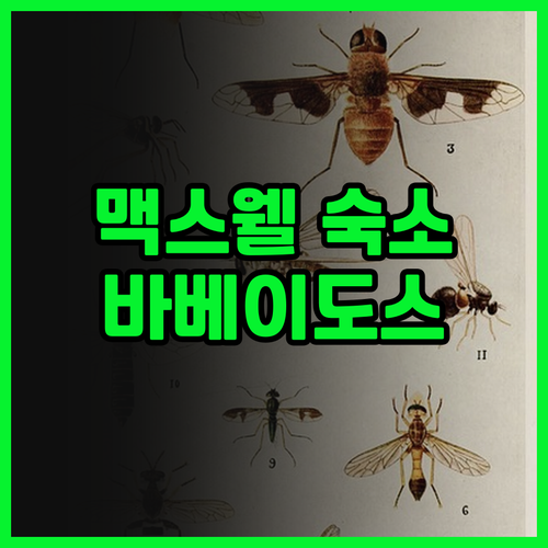 타임 아웃 호텔 맥스웰 코스트 숙박 