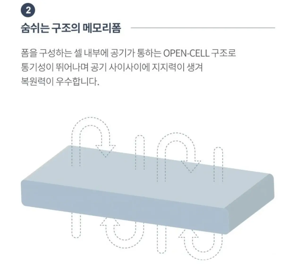 사진12