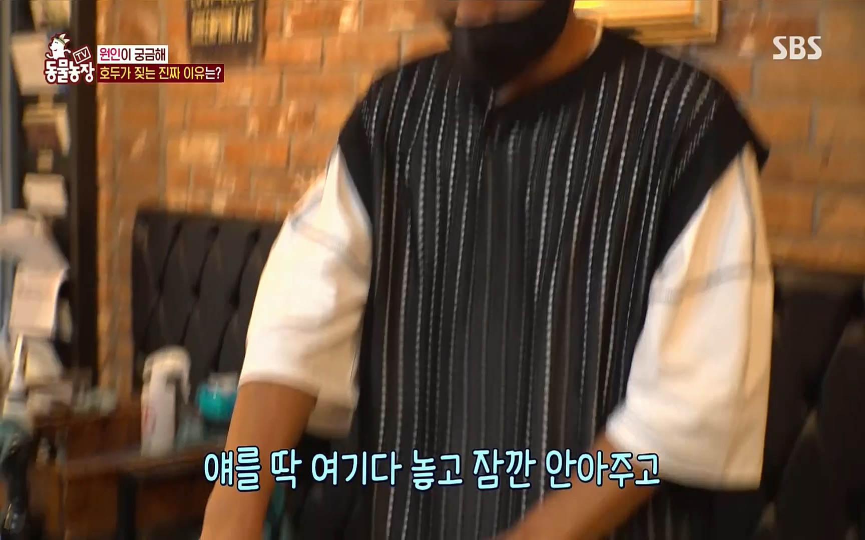 TV 동물농장.E1084.220828p.H264-F1RST.mp4_20220828_154043.994.jpg