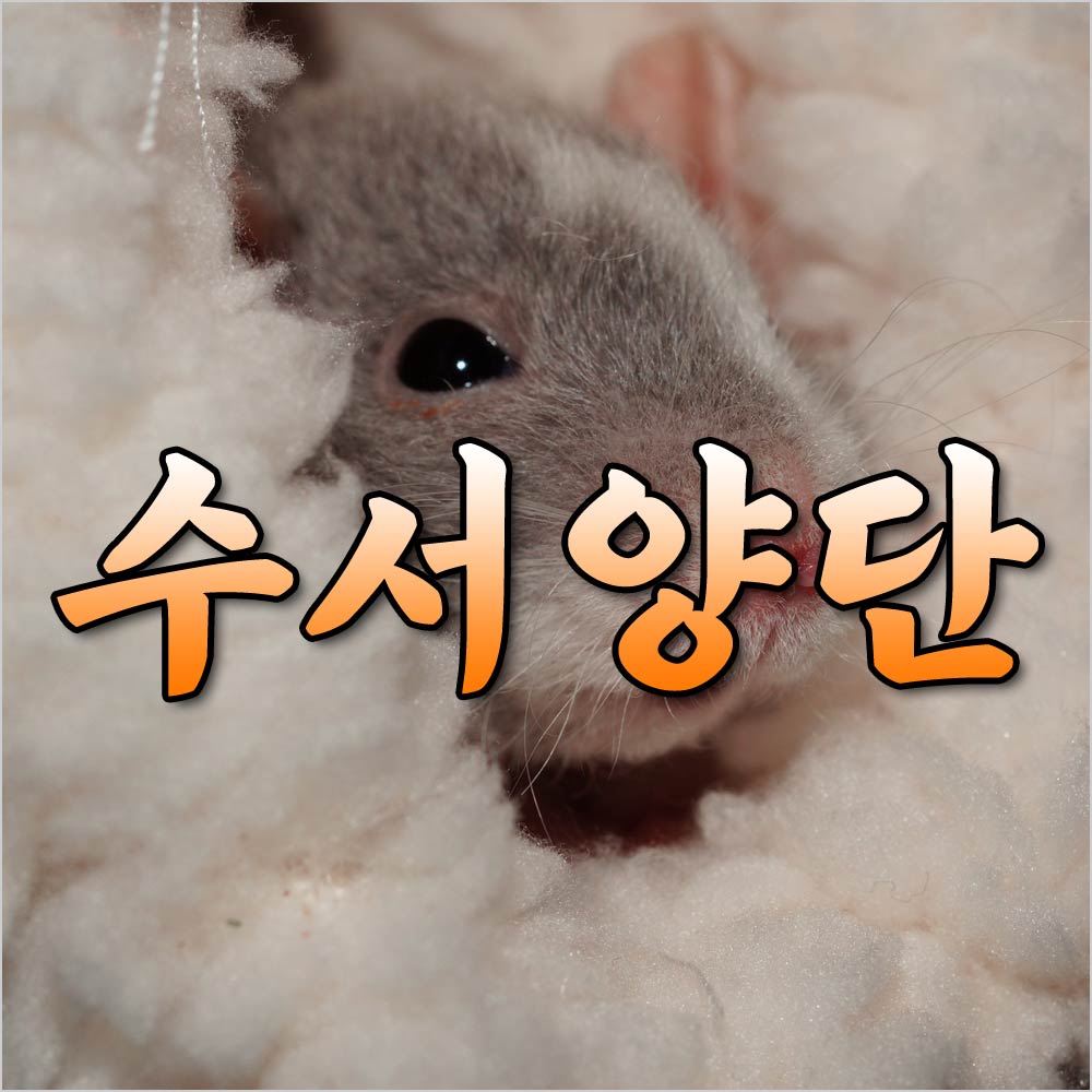 수서양단