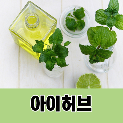  아이허브 레이크 애비뉴(Lake Avenue) 루테인 20mg 구매후기