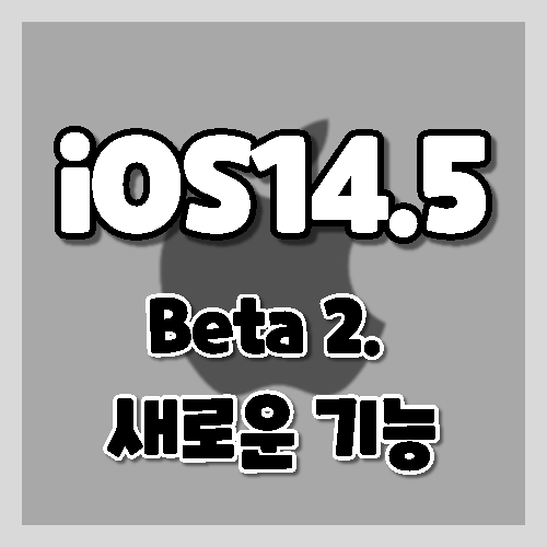 ios14.5 beta2 새로운기능