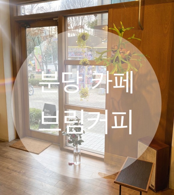 초록햇살 이미지