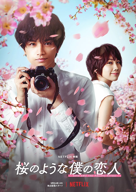 영화 벚꽃 같은 나의 연인 포스터 모습