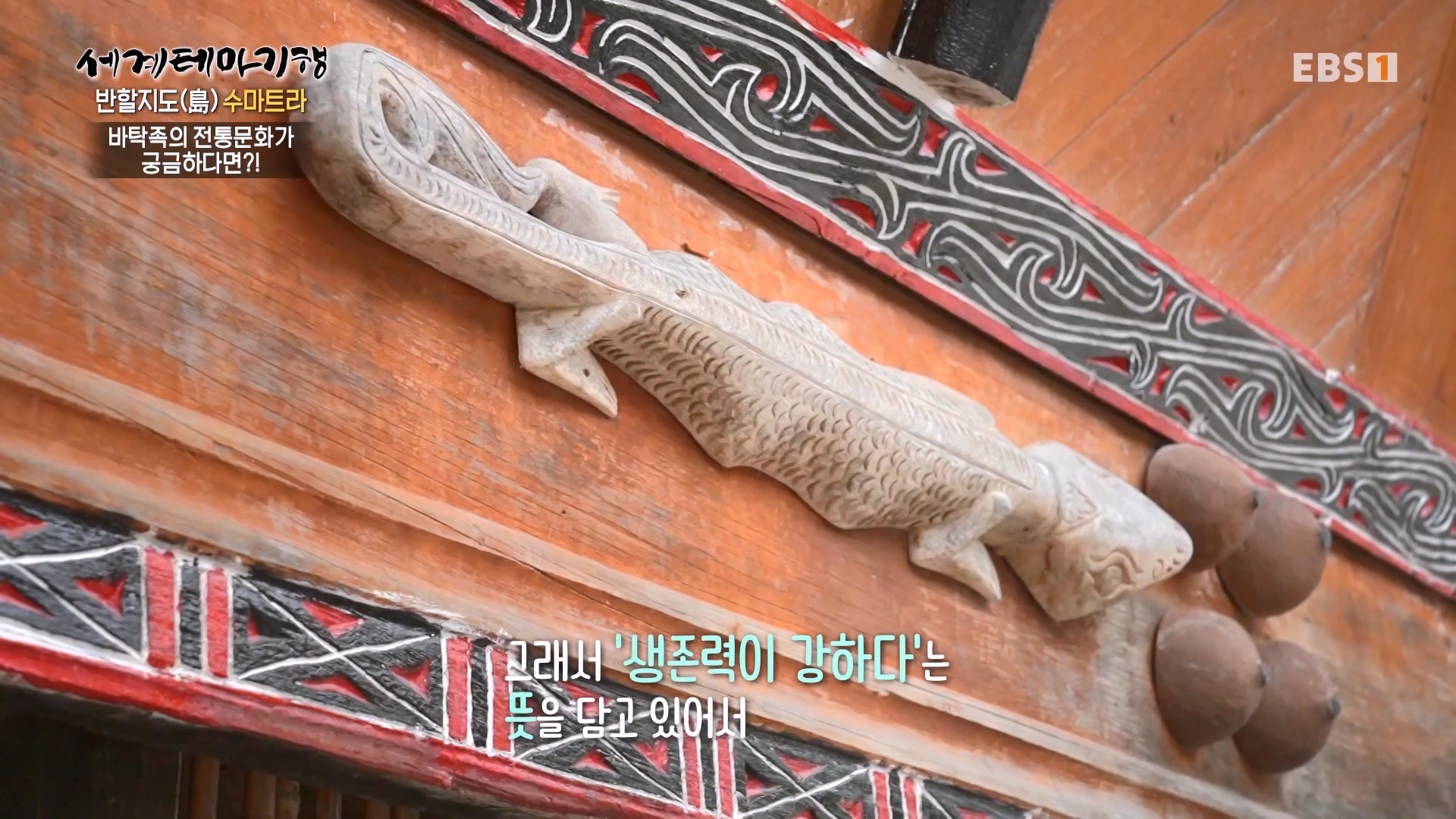 세계테마기행.230801.반할지도(島) 수마트라-2.놀멍 쉬멍 물멍 토바.mp4_20230820_124604.522.jpg