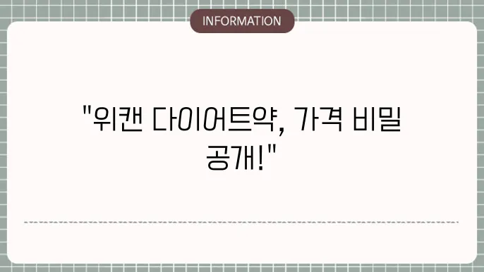 다이어트약 위캔가격