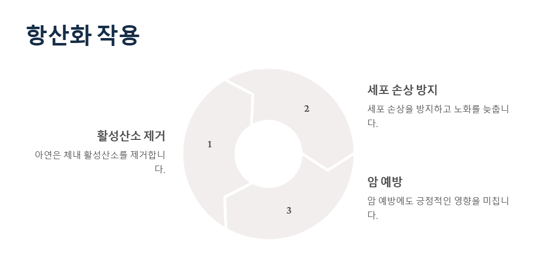 아연 효능, 항산화 작용