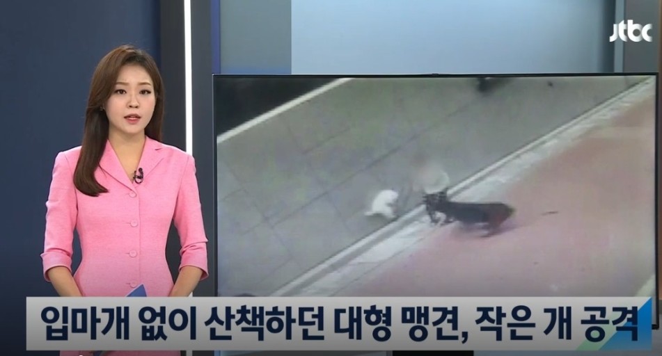물려죽은 사건 사례 대전 변호사 이한나 자신의 애완견이 목줄 없는 남의 개에게 1