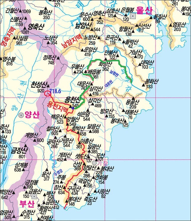 용천식당 이미지