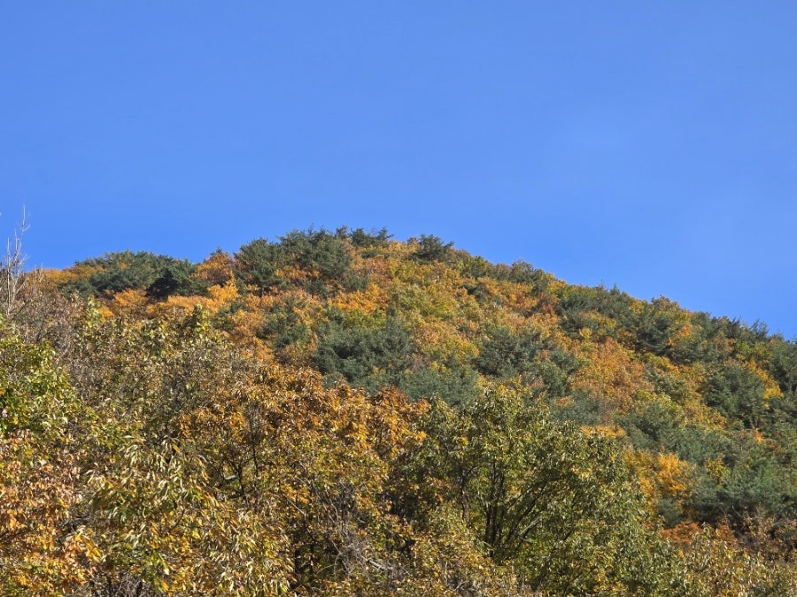 소백산국립공원 희방사코스 이미지