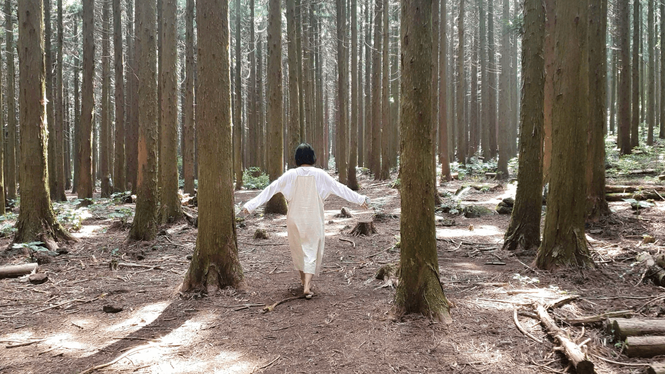 삼나무숲사이를 걷는 여자