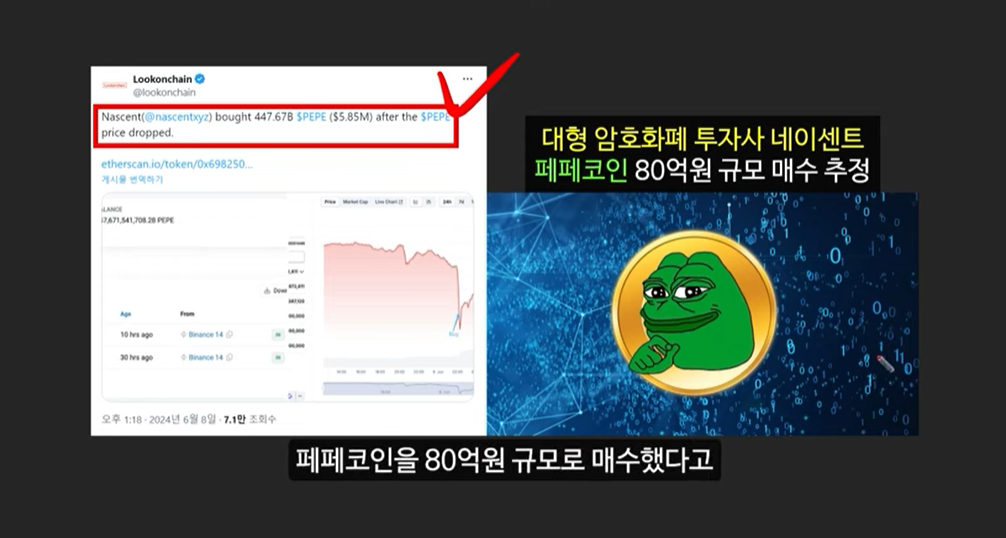 보미 코인: 일론 머스크의 예언과 급등하는 솔라나 기반 밈 코인의 잠재력