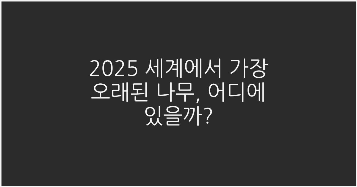 2025 세계에서 가장 오래된 나무