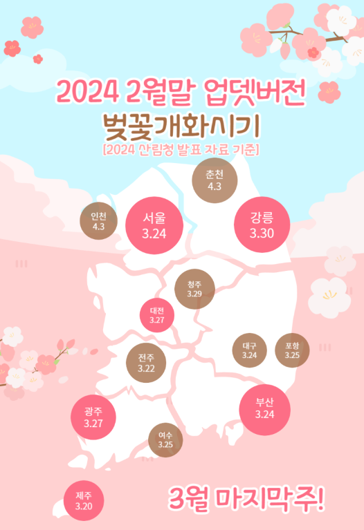 2024 벚꽃 개화시기