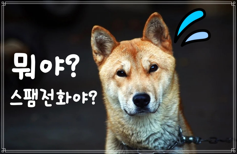  더콜  뭐야이번호 스팸번호검색 미리 하세요