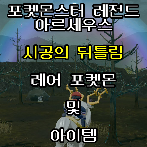  포켓몬스터 아르세우스 시공의 뒤틀림 포켓몬/아이템
