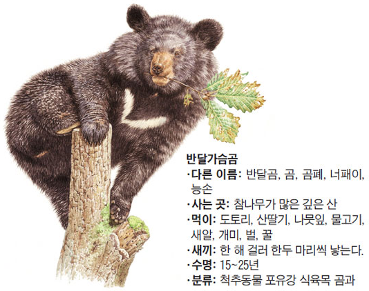  [아미코젠] 인천 송도 배지공장 착공 공시, 약속의 2023년