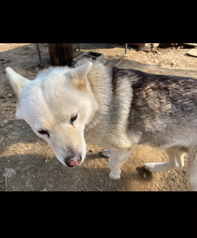 iPhone_photo_picking