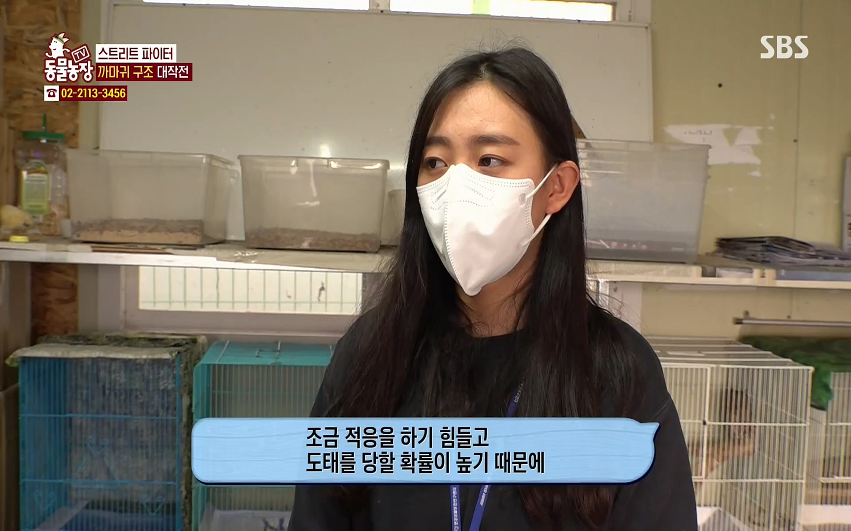 TV 동물농장.E1062.220327p.H264-F1RST.mp4_20220327_174445.874.jpg