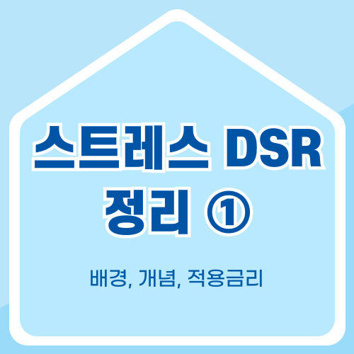 스트레스 DSR