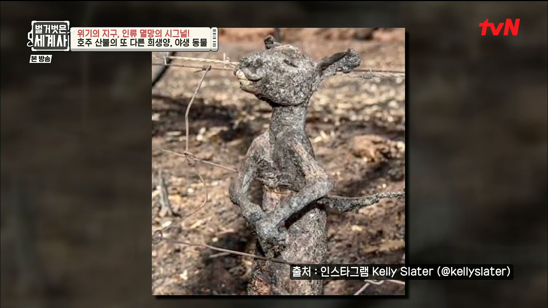 벌거벗은 세계사.E75.221129p.H264-F1RST.mp4_20221211_170931.085.jpg