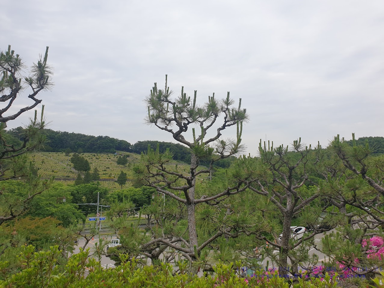 영락공원에서 바라본 산.