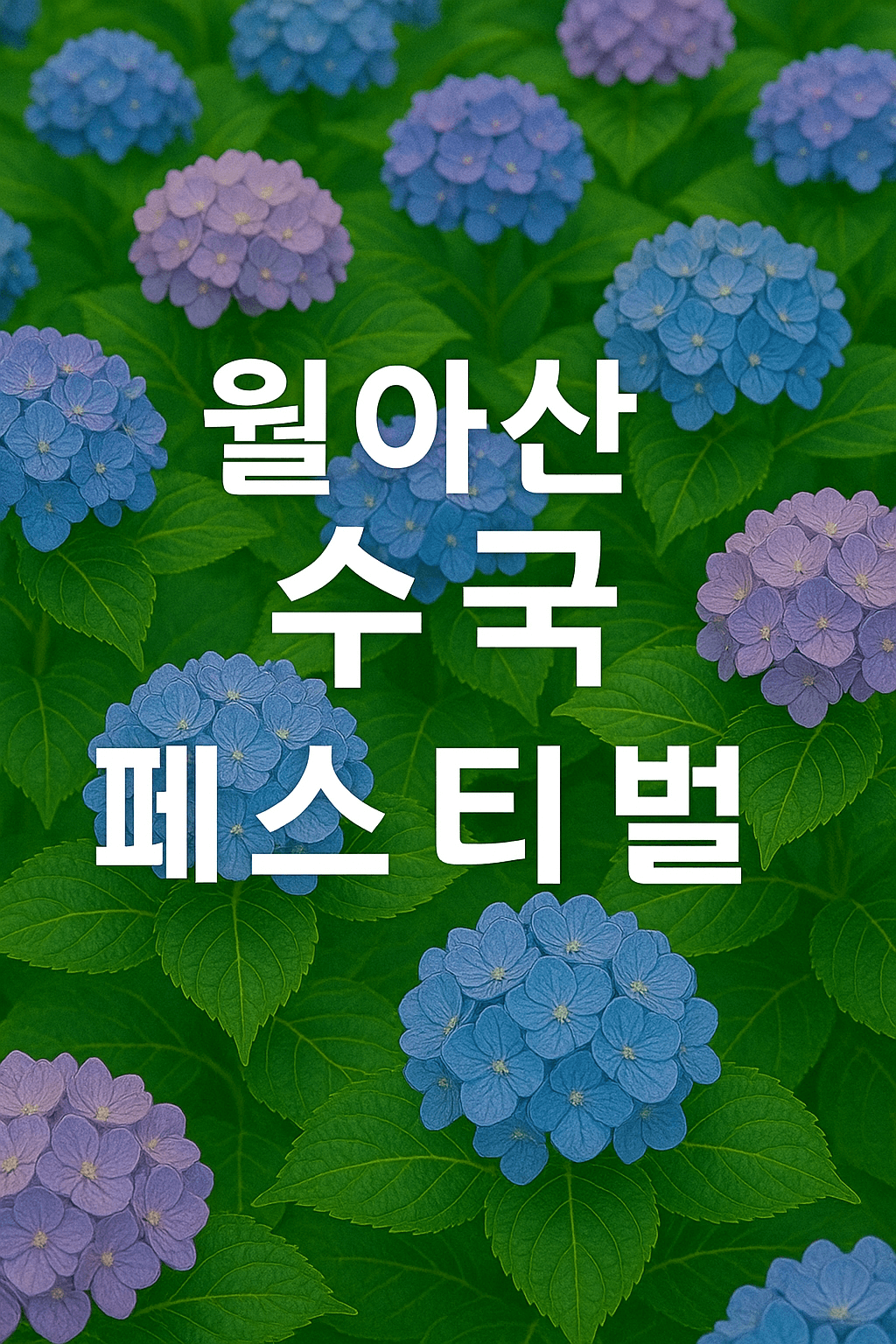 월아산 수국 수국 페스티벌