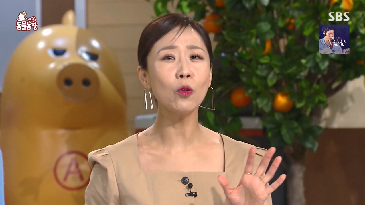 TV 동물농장.E1168.240422p-NEXT.mp4_20240421_170929.958.jpg