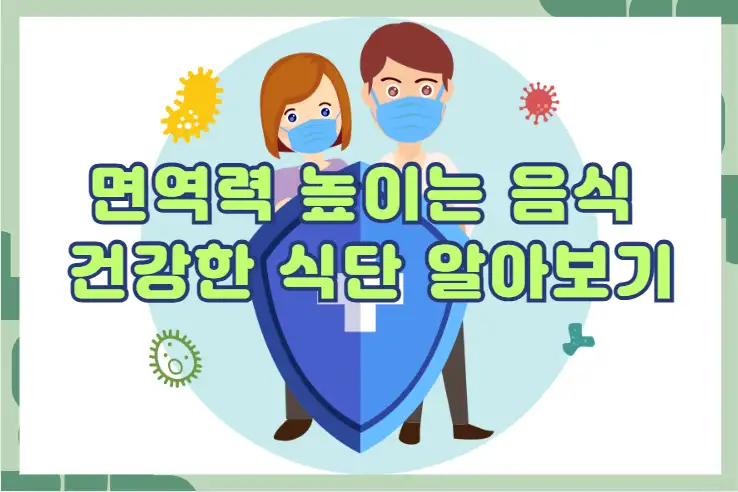 면역력 높이는 음식과 건강한 식단 알아보기