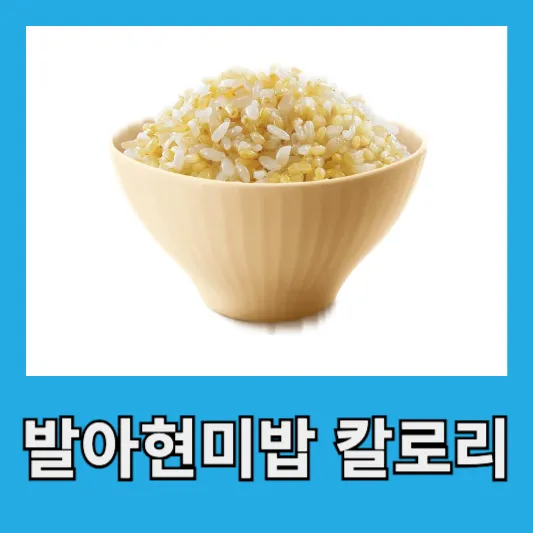 봄철 발아현미밥 햇반 칼로리 발아현미 효능 발아현미 밥 짓기