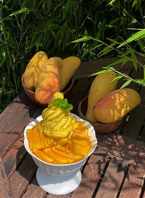 호세