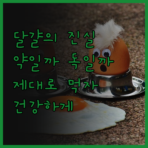 달걀, 알고 먹으면 약! 모르고 먹으