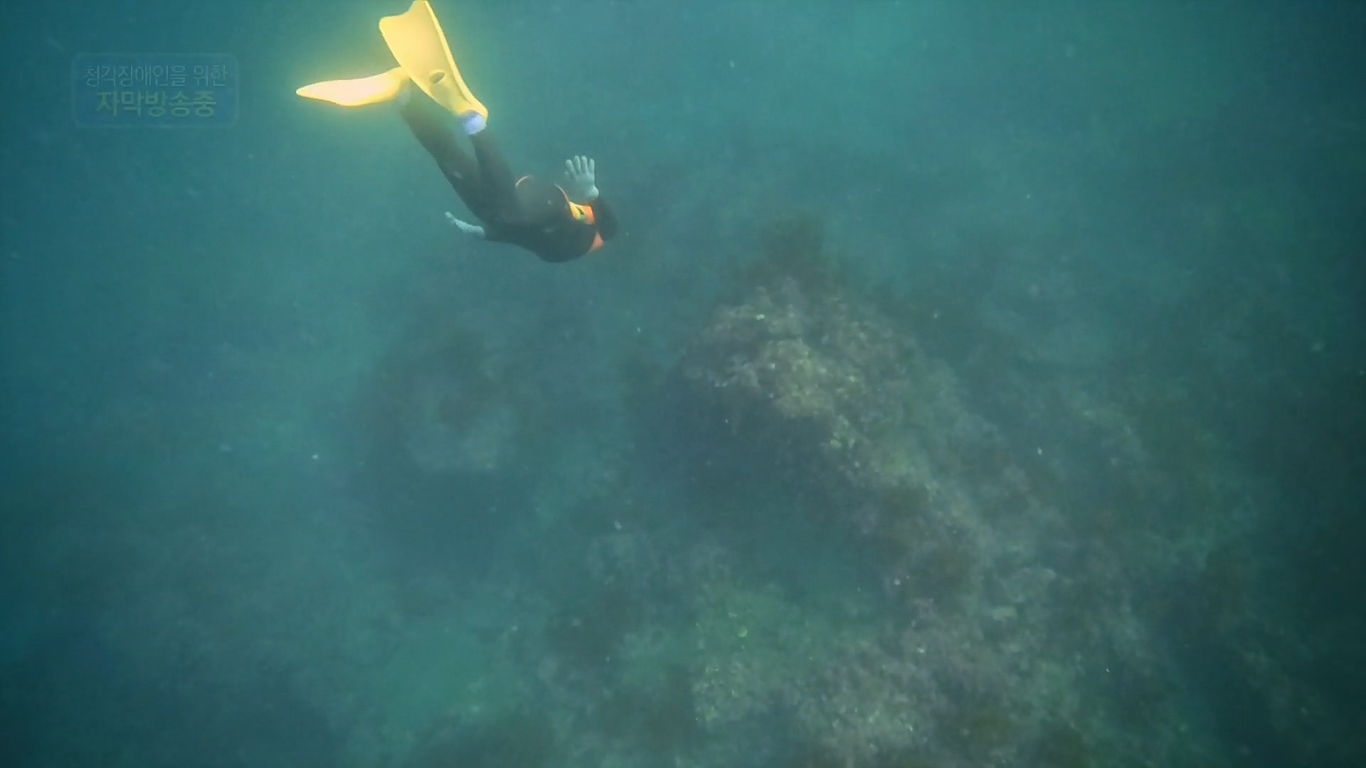 다큐 On.E197.230505p.H264-F1RST.mp4_20230507_133436.360.jpg