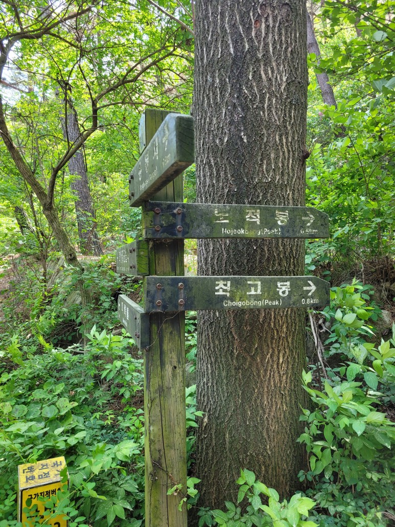 홍성 용봉산 등산코스 홍성 용봉산 4
