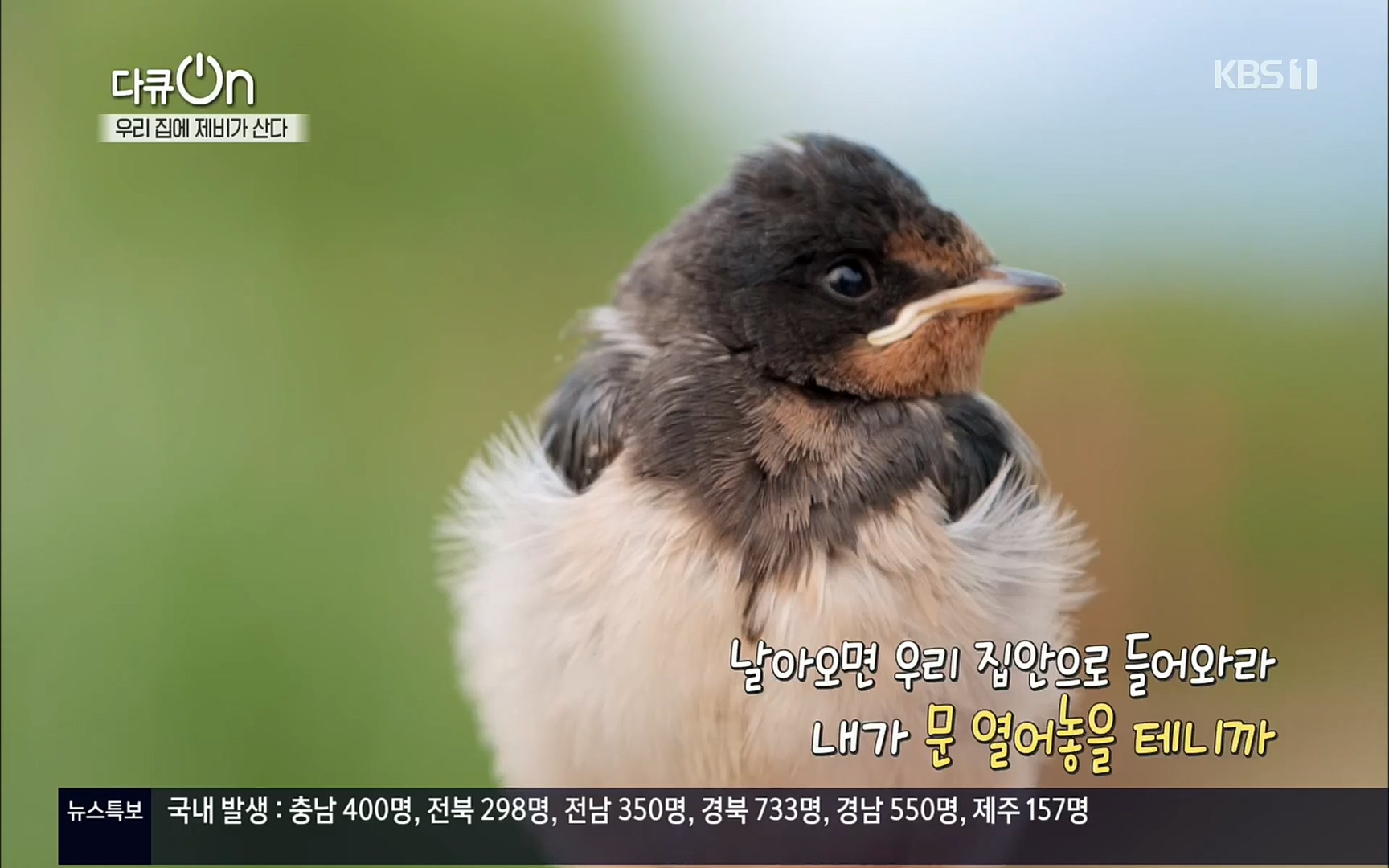 다큐 On.E143.220610p.H264-F1RST.mp4_20220613_202645.605.jpg