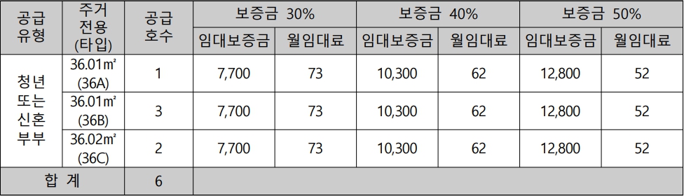 청년안심주택-골든노블레스-임대조건