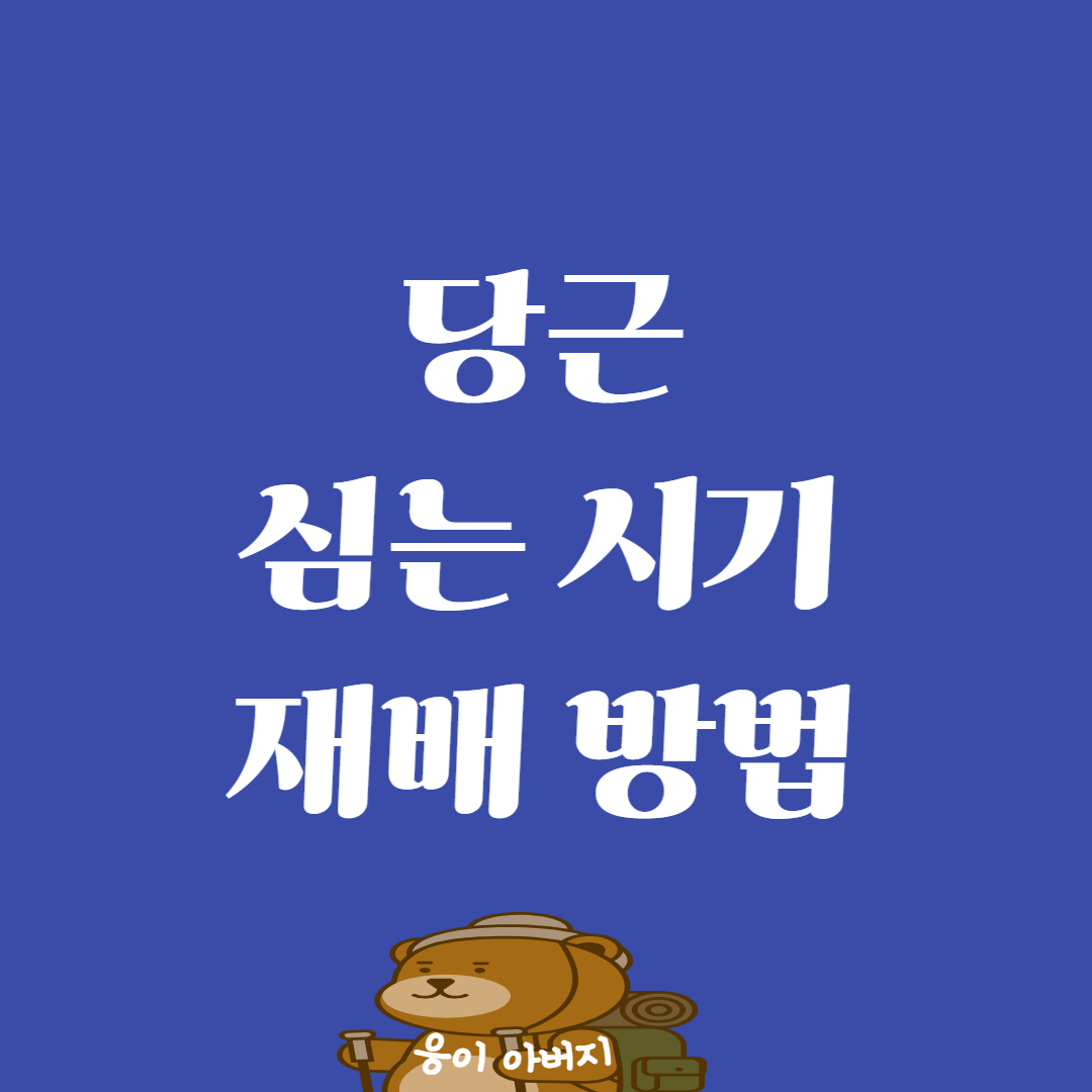 당근 파종(심는)시기 재배방법1