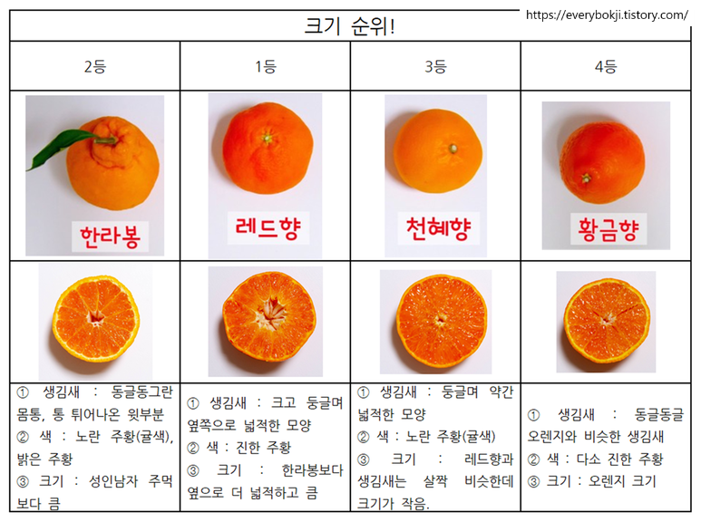 레드향 이미지