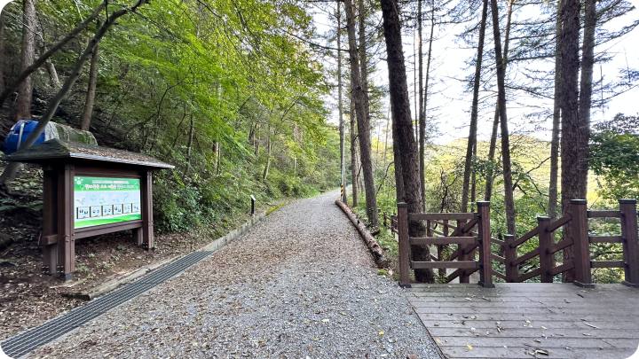 산책길이 보인다