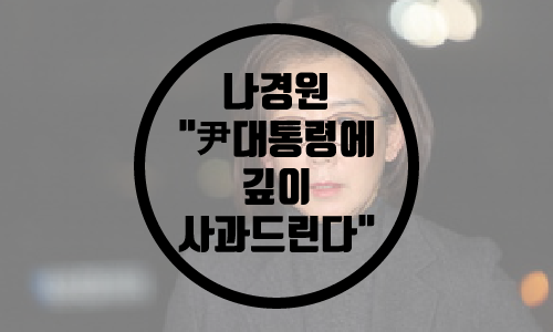  나경원 "尹대통령에 깊이 사과드린다"/윤석열 대통령 귀국 전 공식입장