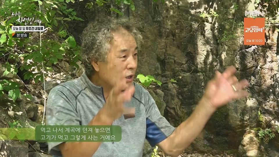 나는 자연인이다.E562.230712p.H264-F1RST.mp4_20230713_204732.299.jpg