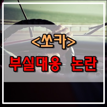  쏘카 부실대응으로  초등생 성폭행 범죄발생