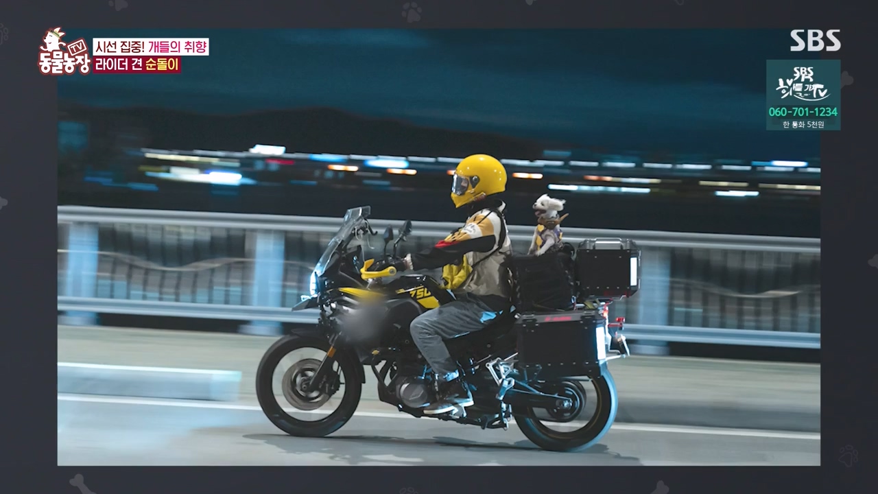 TV 동물농장.E1152.231232p-NEXT.mp4_20231231_172005.238.jpg